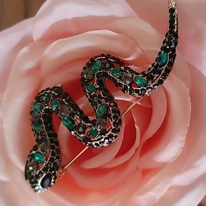 Snake rhinestones large brooch. New
